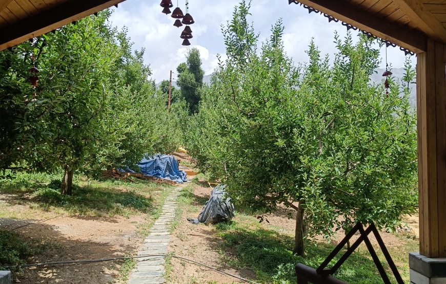 Earthlystays Orchard Homestay