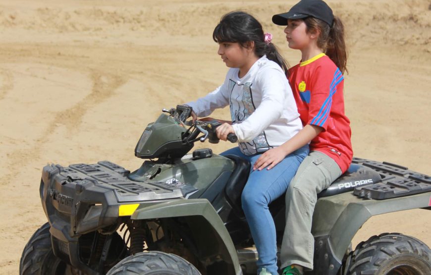 Adventure Geodesic Dome Farm