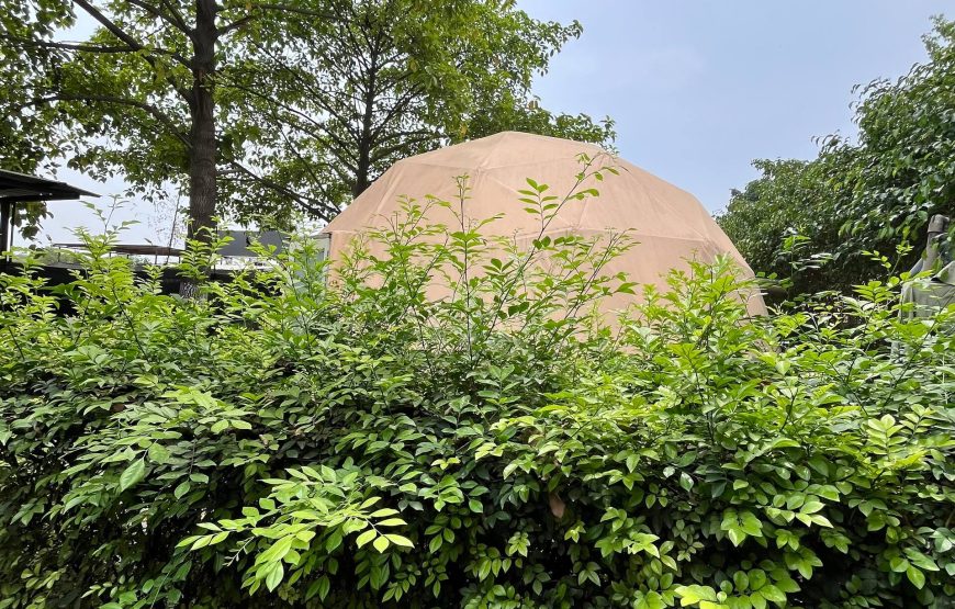 Adventure Geodesic Dome Farm