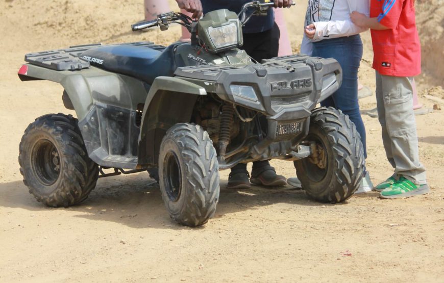 Adventure Geodesic Dome Farm
